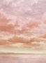 16676_04_Coordonné_Cumulus_Clouds_D00159-193882