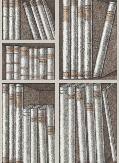 Tapete Ex Libris - Stone and Linen