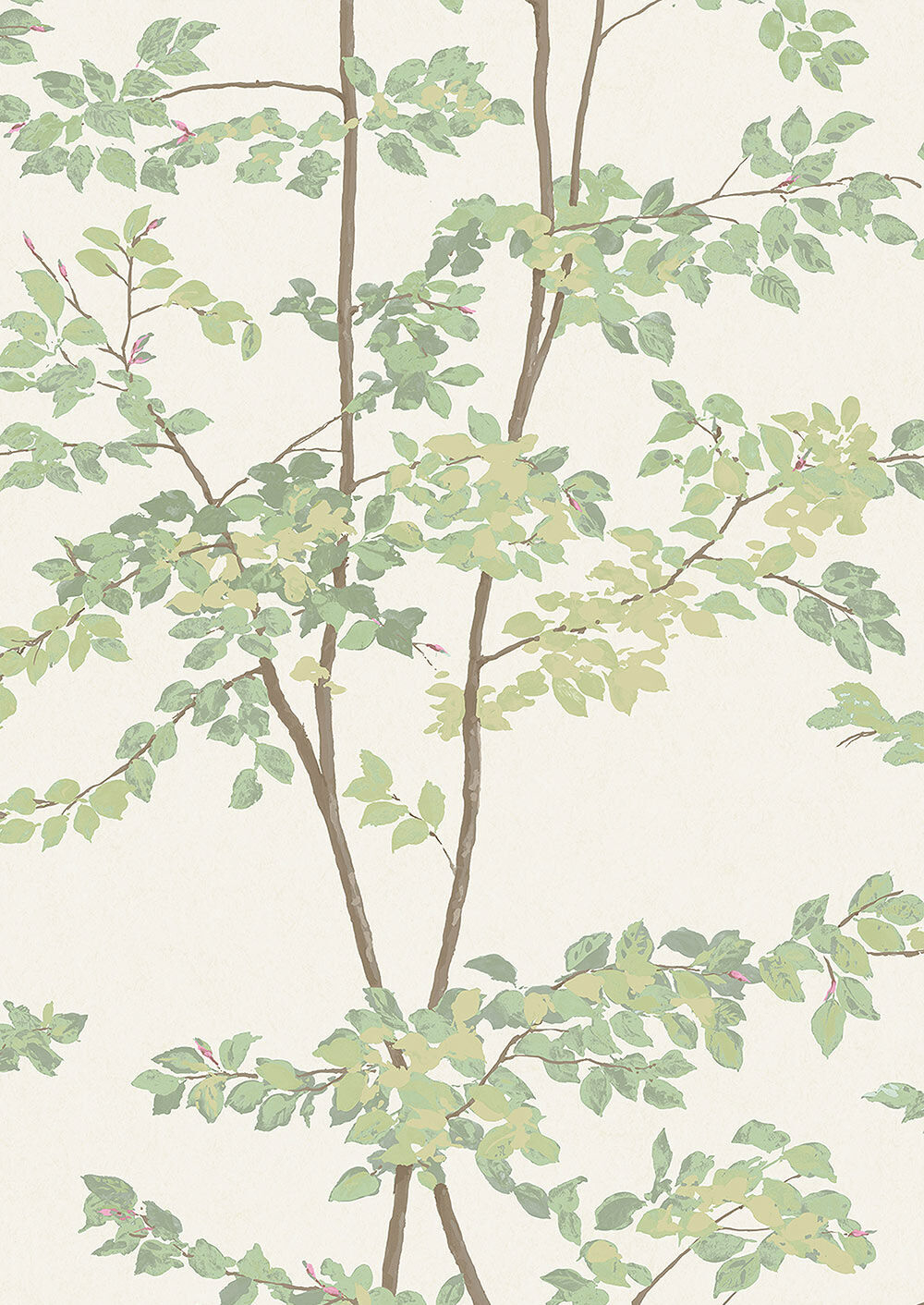 Tapete Beech - Document Green