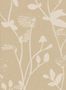 16291_01_Sian_Zeng_Feather_Plant_FEATHERBE-146360