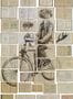 2120_1_nlxl_bibliotheca_wallpaper_eka-03-24146