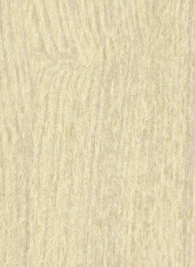 Tapete Gouge - VP 936 01