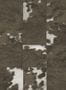 14725_1_Elitis_Veracruz_VP_629_02-119618