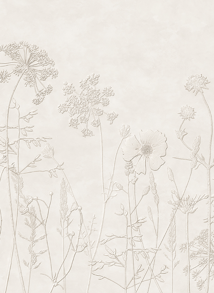 Wandbild Silhouette Flowers - 350700