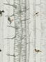 8506_3_Coordonne_Tapete_Birch_Trees_9500042-70046