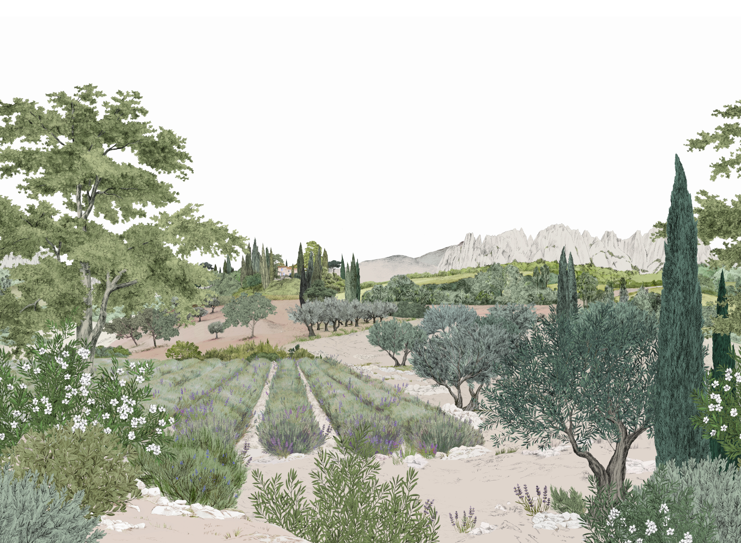 Wandbild Provence - Printemps Panel A