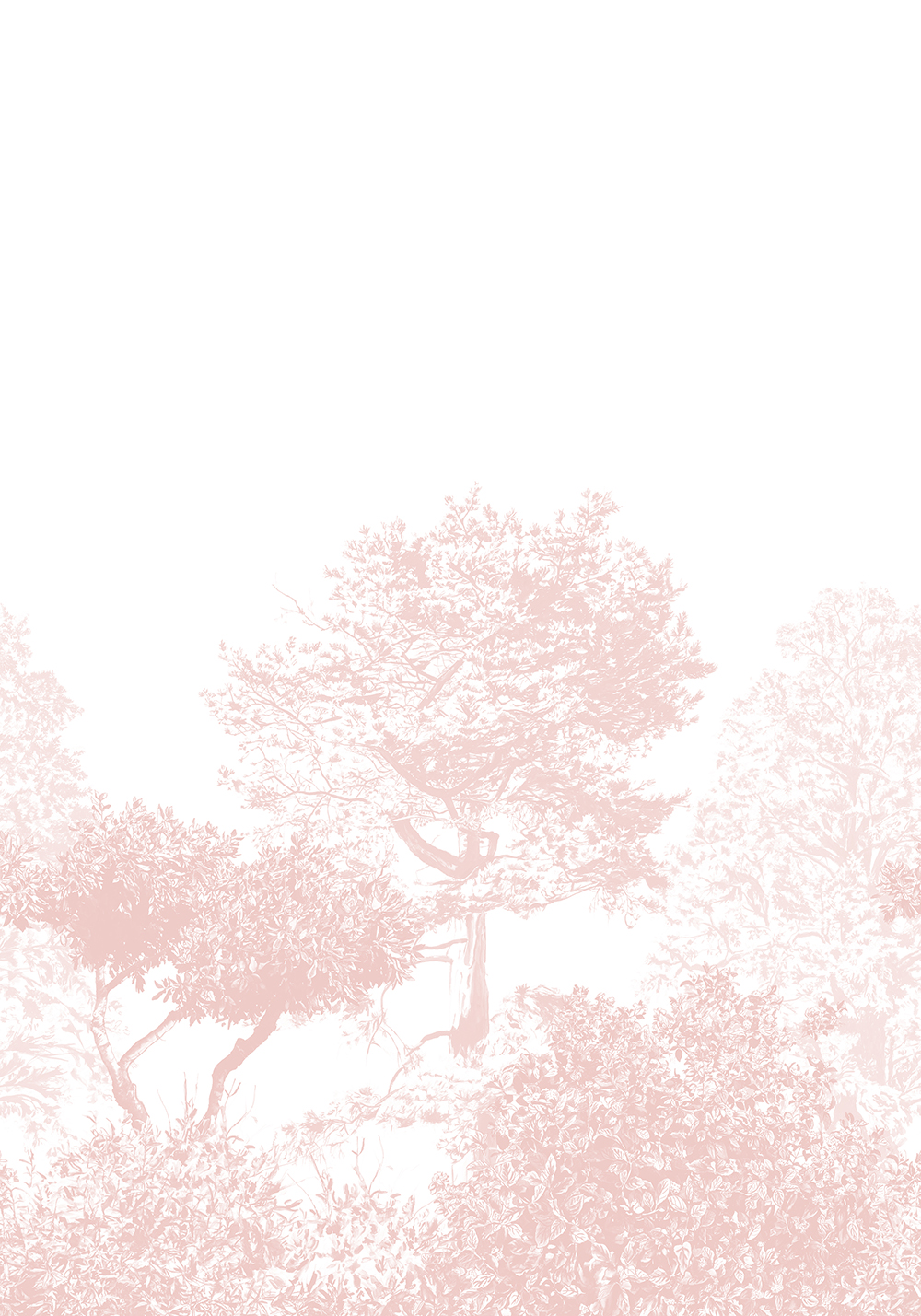 Wandbild Hua Trees - Pink