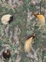 5535_2_mindthegap_royal-garden_wp20456-59072