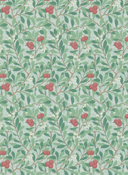 Tapete Arbutus - Thyme/ Coral