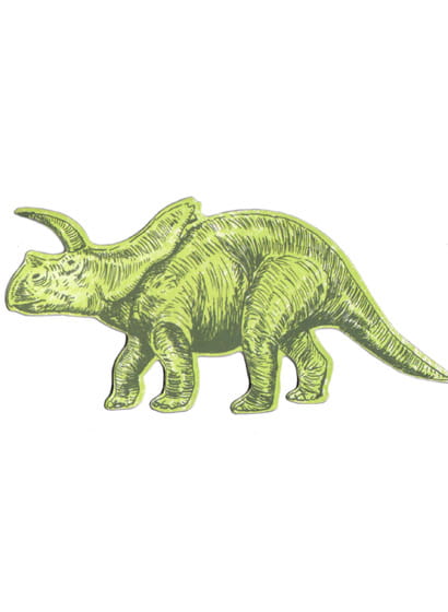 Sian Zeng Magnet Arrhino - Arrhino Lime