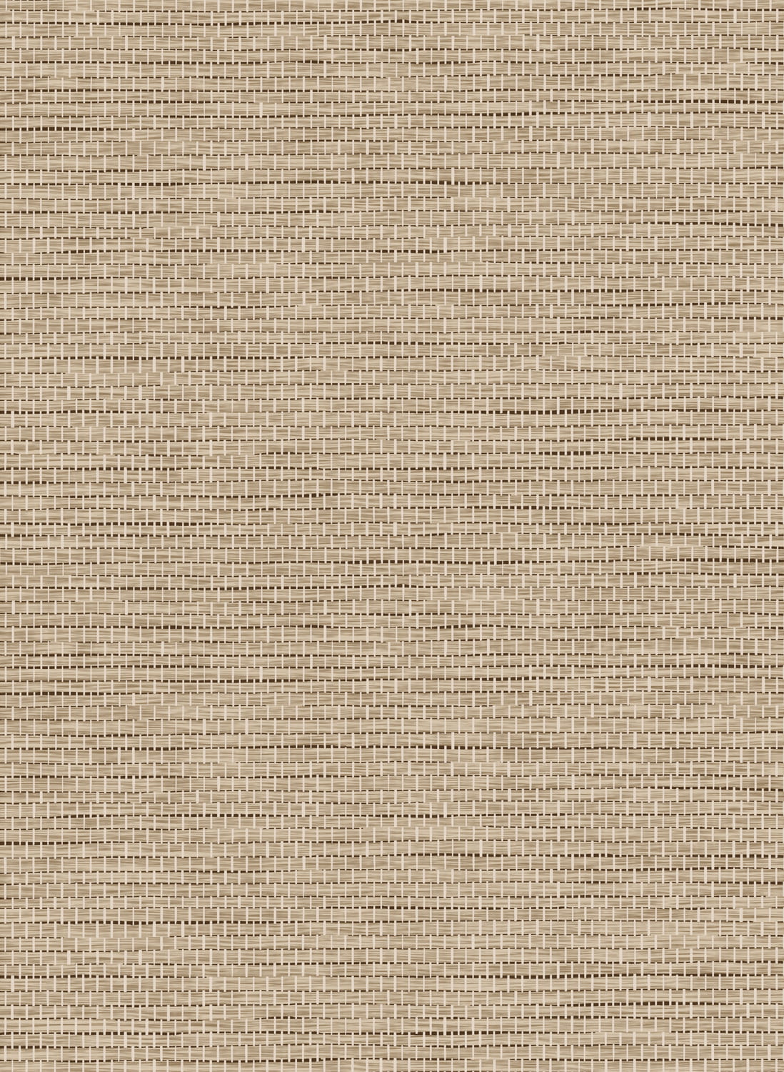 Tapete Le Papier Tisse - Hazelnut