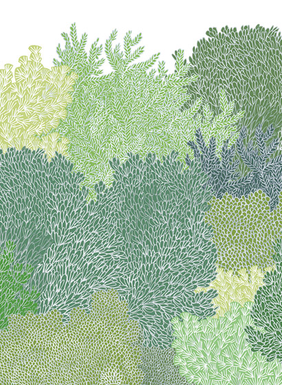 Wandbild Hideaway - Verdant
