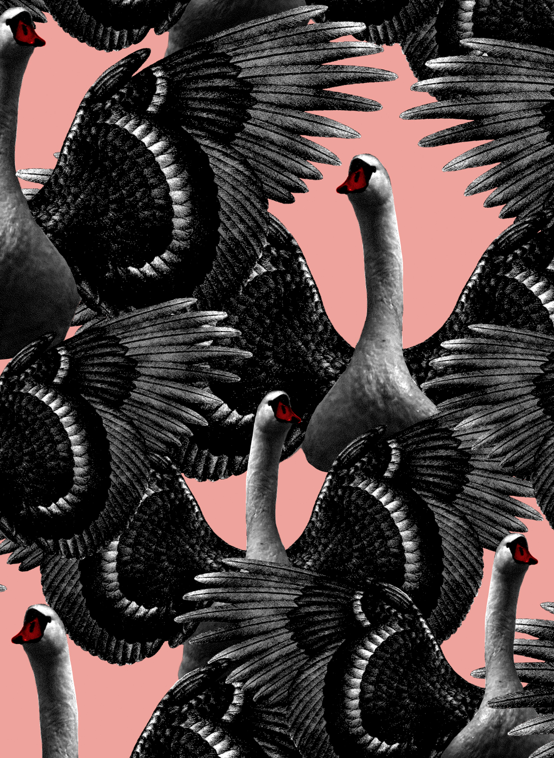 Tapete Swan Lake - Pink