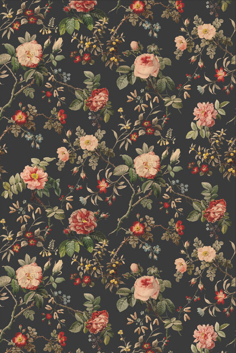 Wandbild Thorn Rose - Midnight