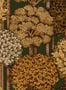 6799_3_Arte_Mont_Royal_97702-85644