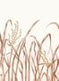 6906_2_Nobilis_Hors-Champs_PAN131-88046