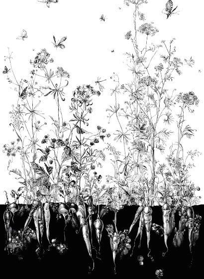Tapete Lièvres/Fenouil/Tournesol - Blanc et Noi - Fenouil Sauvage Droit - Blanc et Noir