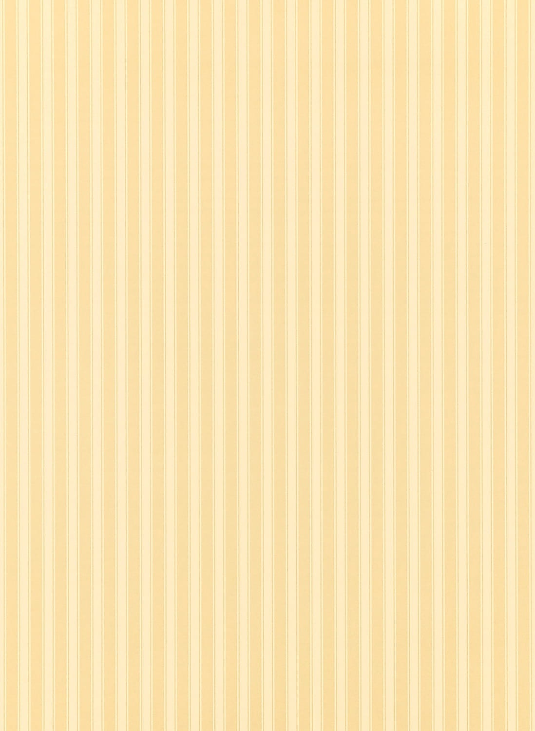 Tapete New Tiger Stripe - Honey/ Cream