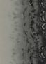9517_3_Clarke_and_Clarke_Disperse_W0149-03-94615