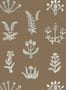 14628_3_Josephine_Munsey_Floral_Spot_FLO_017_006_025-127174