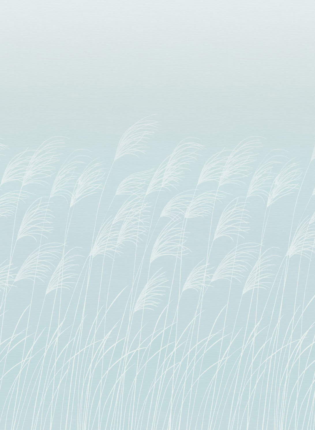 Wandbild Miscanthus - Sky/ Celestial