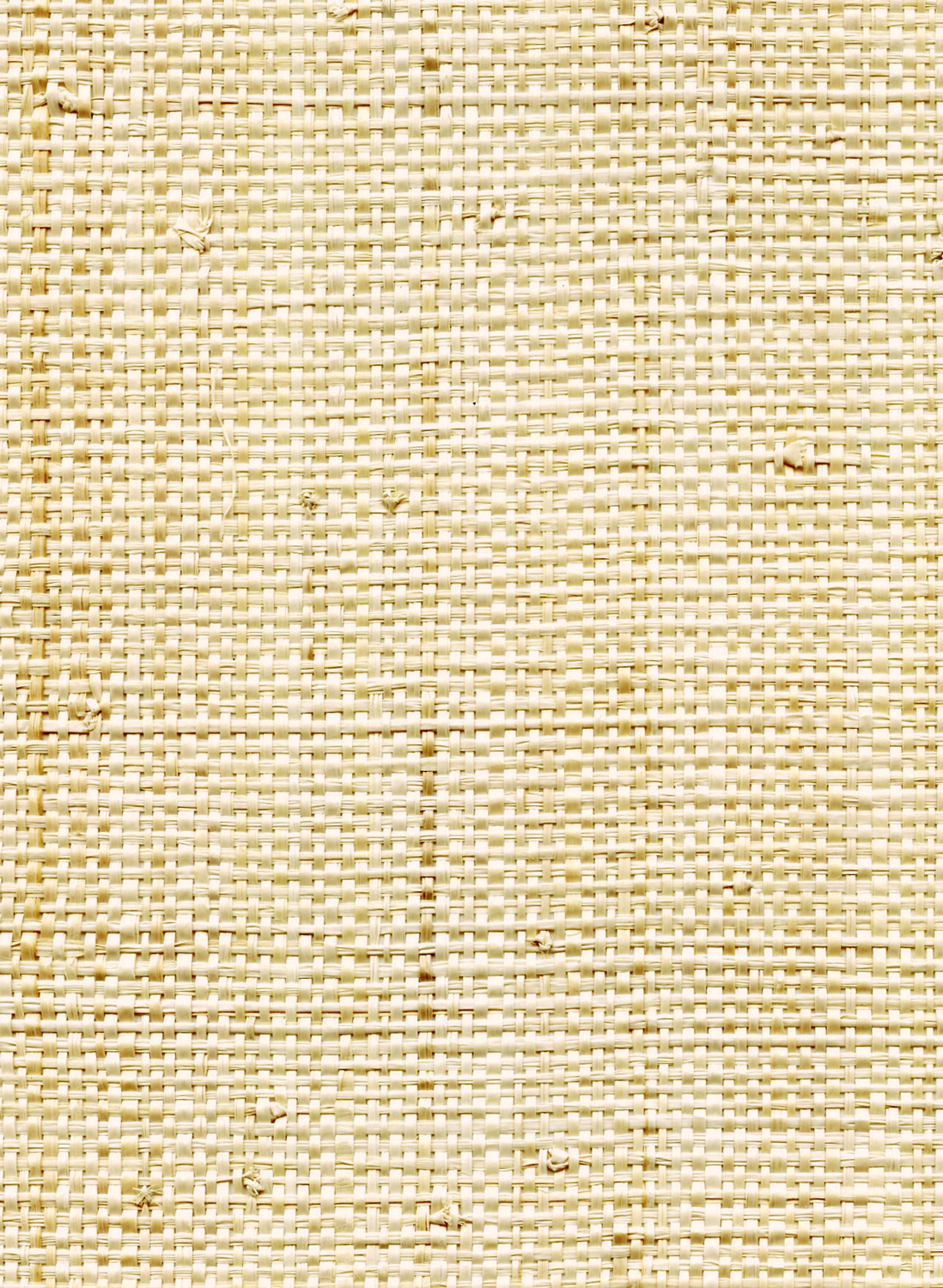 Tapete Raphia Pur - Naturel Ecru