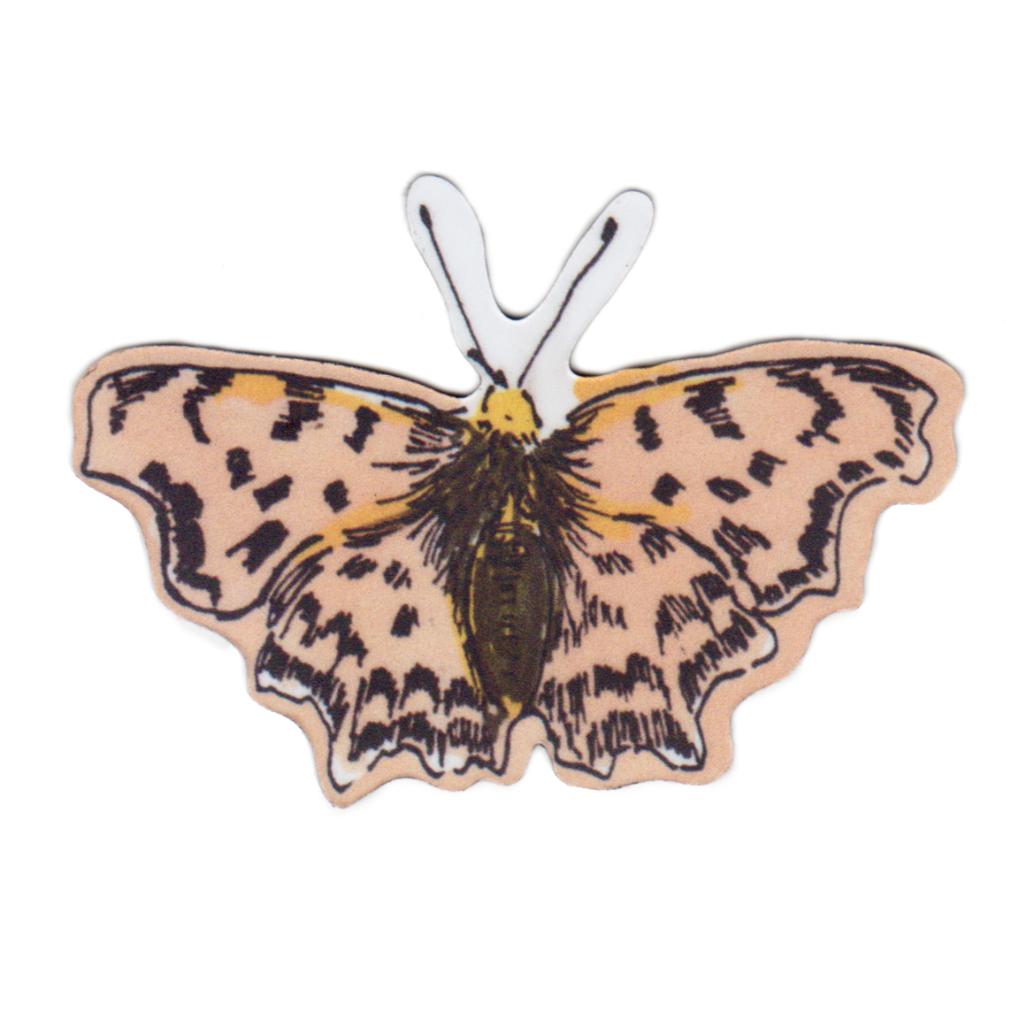 Magnet Peach Moth
