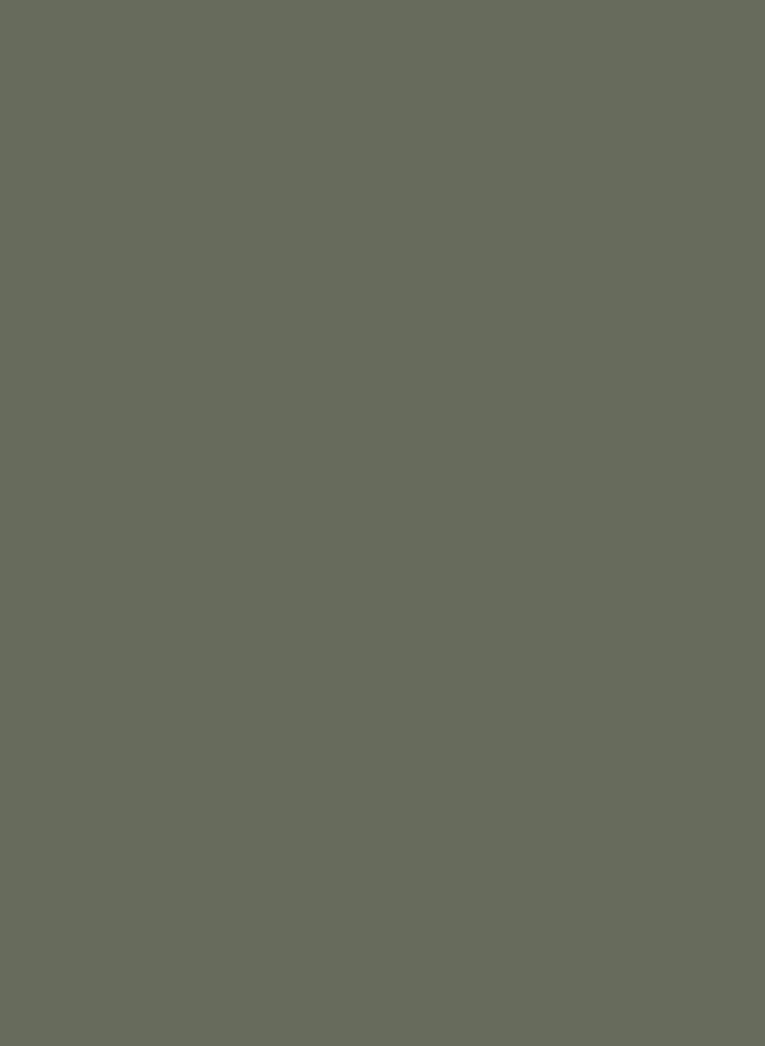 Hornblende 186 ASP