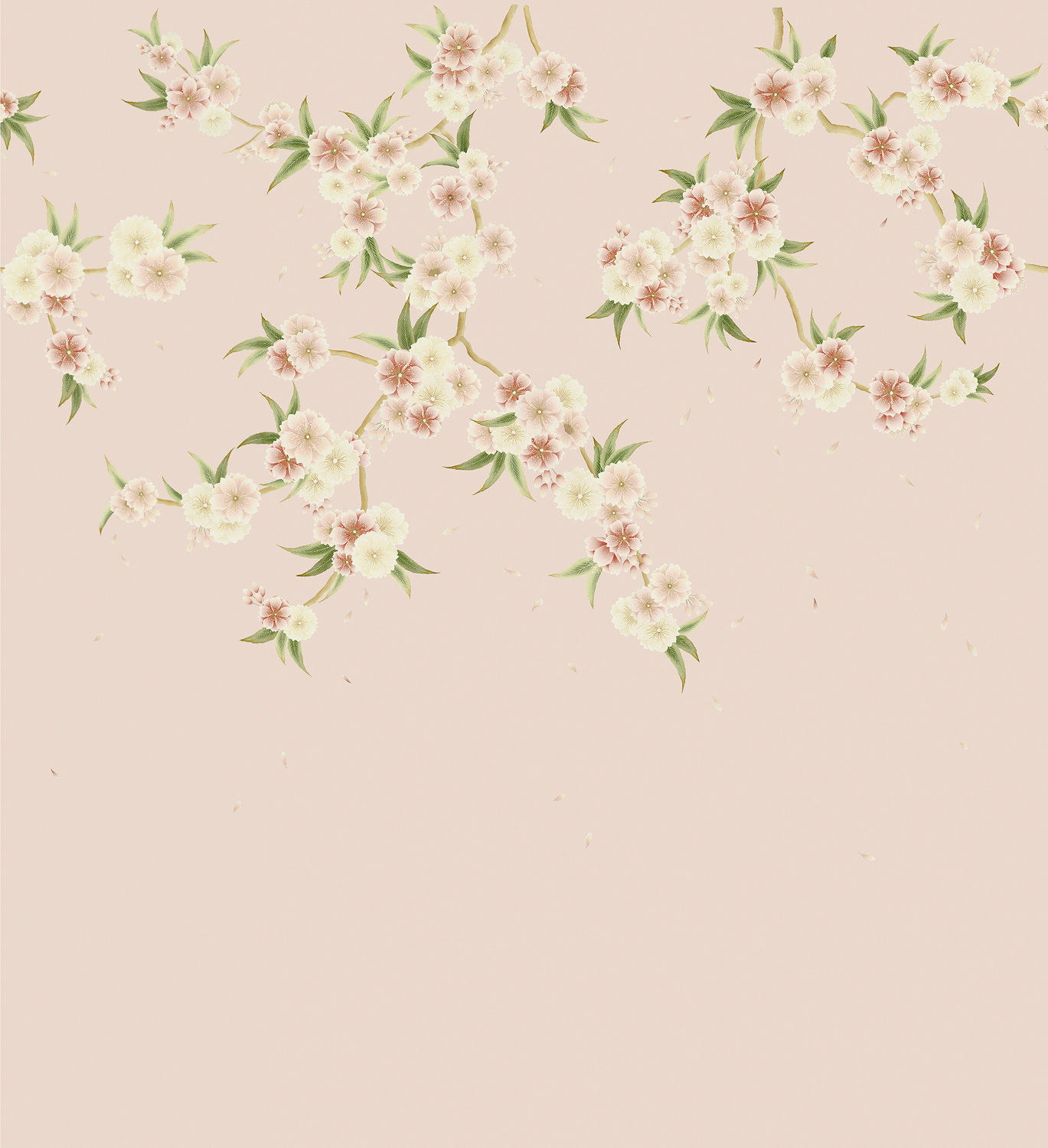 Wandbild Rosa - Blush Pearl/ Peony/ Meadow