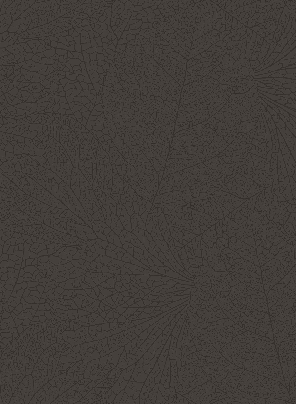 Tapete Embrace 1 - 324043