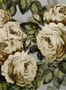 3661_6_john-derian_the-rose_pjd6002-06-30256