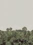 15043_1_Nobilis_Canopy_1_MHP10-115366