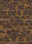 19166_02_Nobilis_Cerame_SVR11-201067