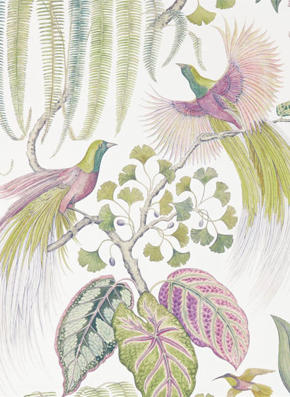 Tapete Bird of Paradise - Orchid