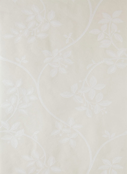 Tapete Ringwold - White Tie/ All White/ Pointing