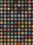 17680_01_NLXL_Crown_Caps_JEE-01-163988