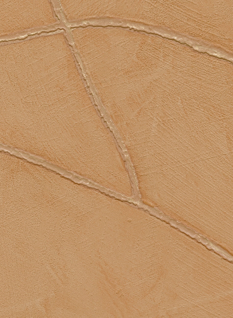 Tapete Kintsugi - VP 1004 21