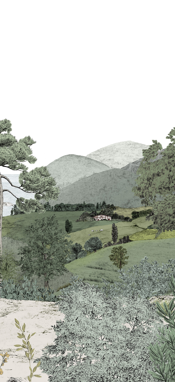 Wallpaper Euskadi - Naturel Panel A