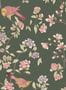 14682_1_Little_Greene_Aderyn_267ADOLIVE-116284