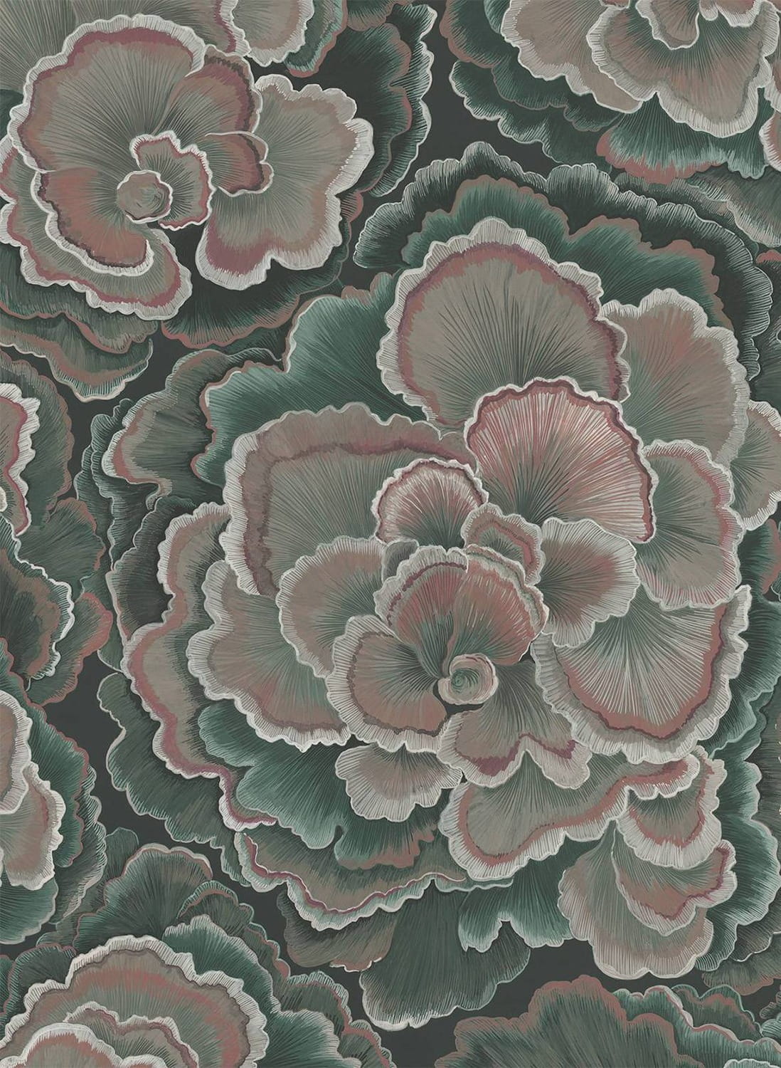 Tapete Trametes - Hosta