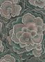 17231_02_House-of-Hackney_Trametes_Hosta-210497