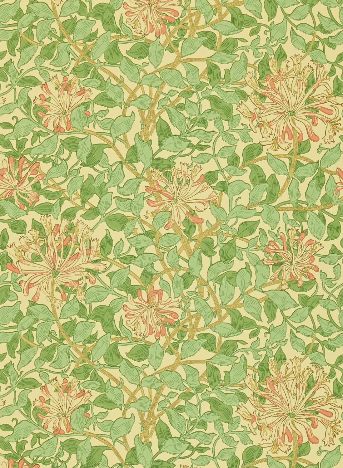 Tapete Honeysuckle - Green/ Beige/ Pink