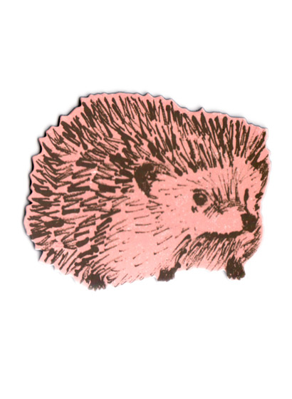 Sian Zeng Magnet Hedgehog - Hedgehog Junior Pink
