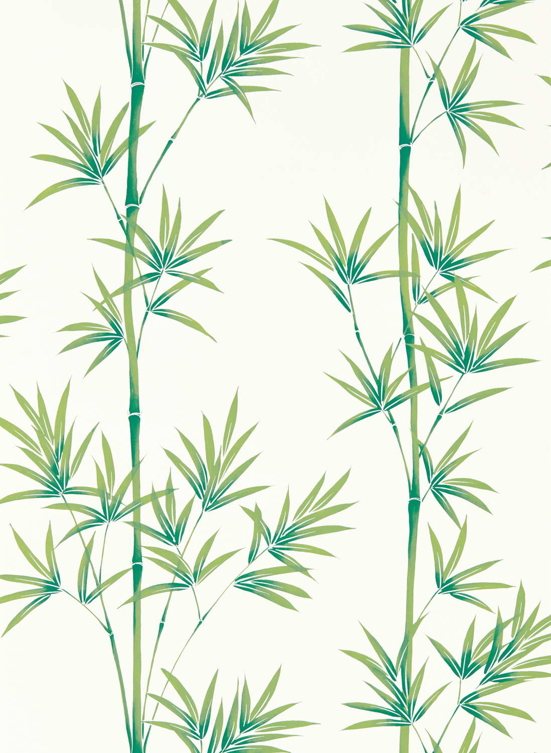 Tapete Isabella - Porcelain/ Bamboo