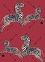 17059_01_Jannelli_&_Volpi_Zebras_26000-141790