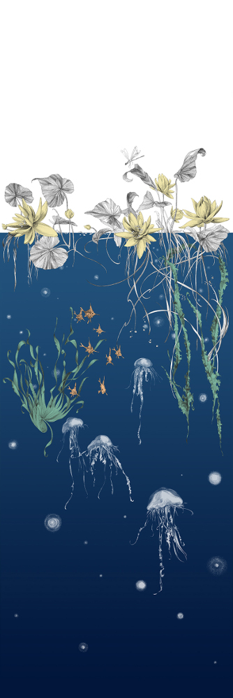 Tapete Nautilus/Méduses/Nénuphars - Marine - Méduses droit - Marine