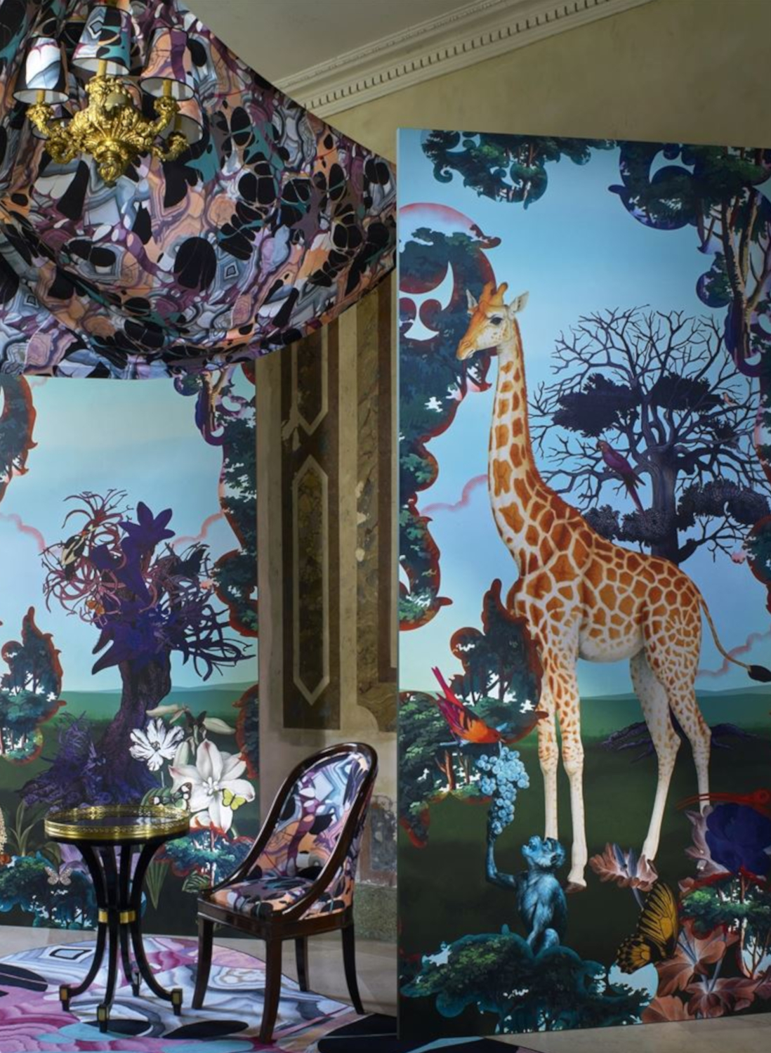 Wandbild Novafrica Sunrise Scene 1