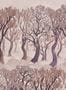 17228_01_House-of-Hackney_Overstory_Earth-210472