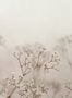 9258_2_Sandberg_Julia_Blush_S10130-77999