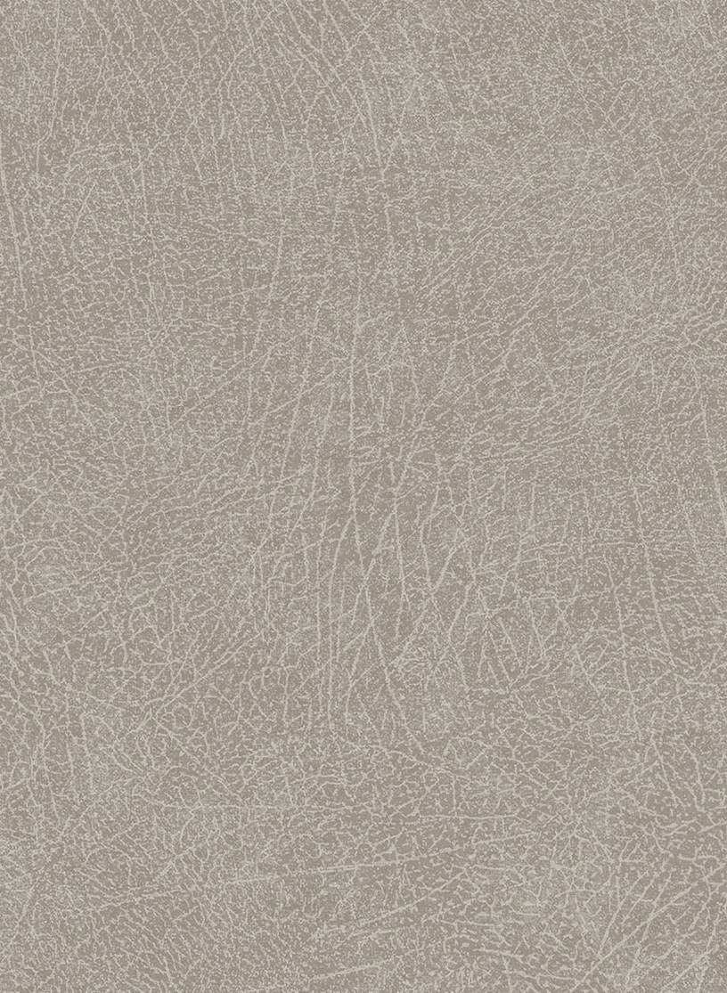 Tapete Skin 5 - 300512